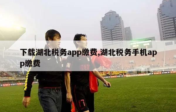 下载湖北税务app缴费,湖北税务手机app缴费