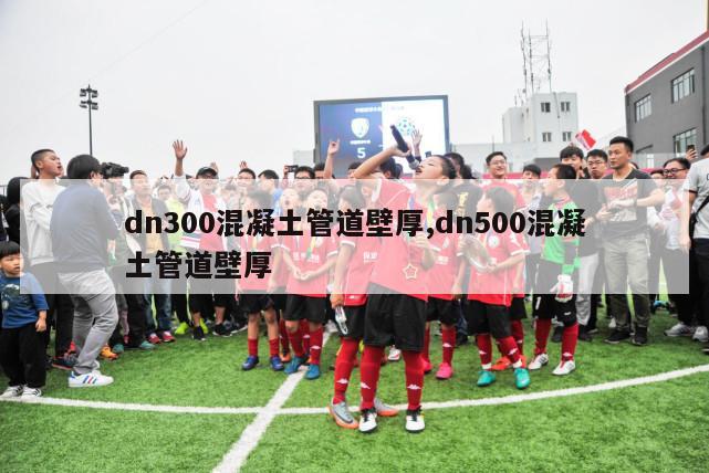 dn300混凝土管道壁厚,dn500混凝土管道壁厚