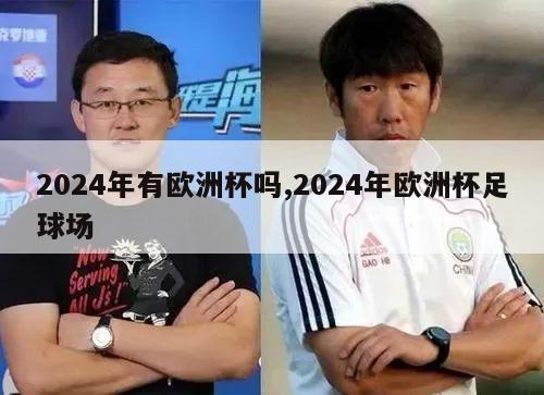 2024年有欧洲杯吗,2024年欧洲杯足球场