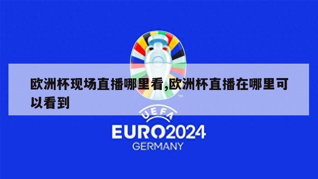 欧洲杯现场直播哪里看,欧洲杯直播在哪里可以看到