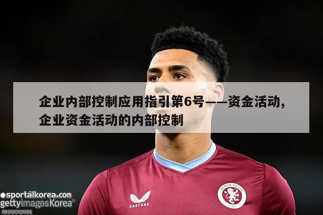 企业内部控制应用指引第6号——资金活动,企业资金活动的内部控制