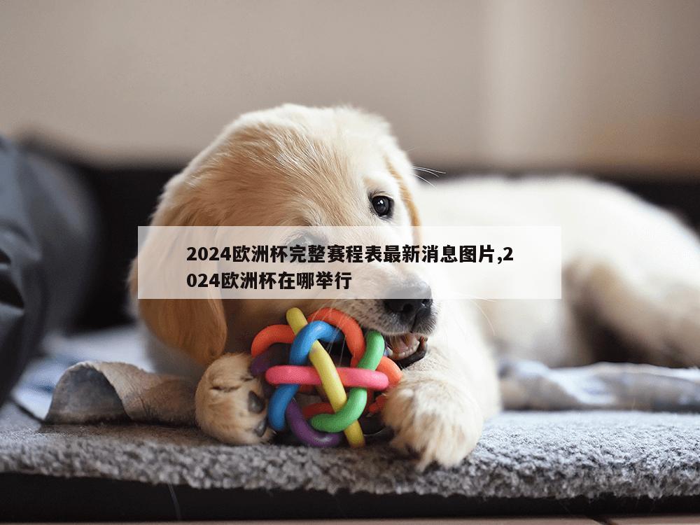 2024欧洲杯完整赛程表最新消息图片,2024欧洲杯在哪举行