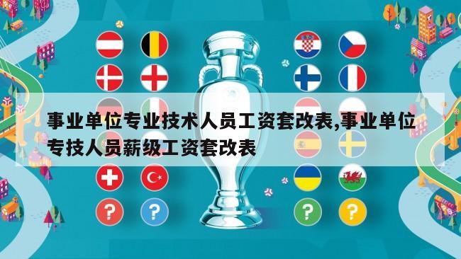 事业单位专业技术人员工资套改表,事业单位专技人员薪级工资套改表