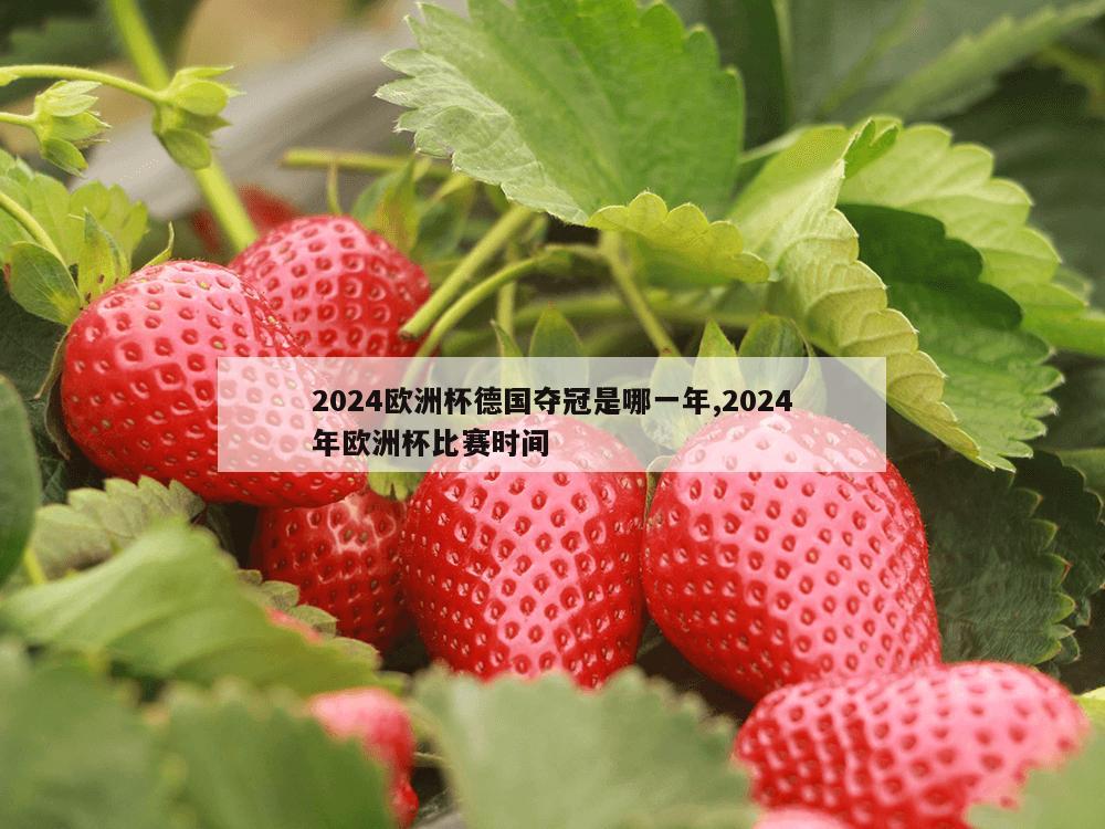 2024欧洲杯德国夺冠是哪一年,2024年欧洲杯比赛时间