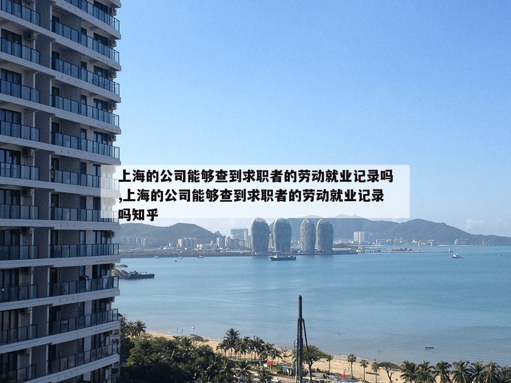 上海的公司能够查到求职者的劳动就业记录吗,上海的公司能够查到求职者的劳动就业记录吗知乎