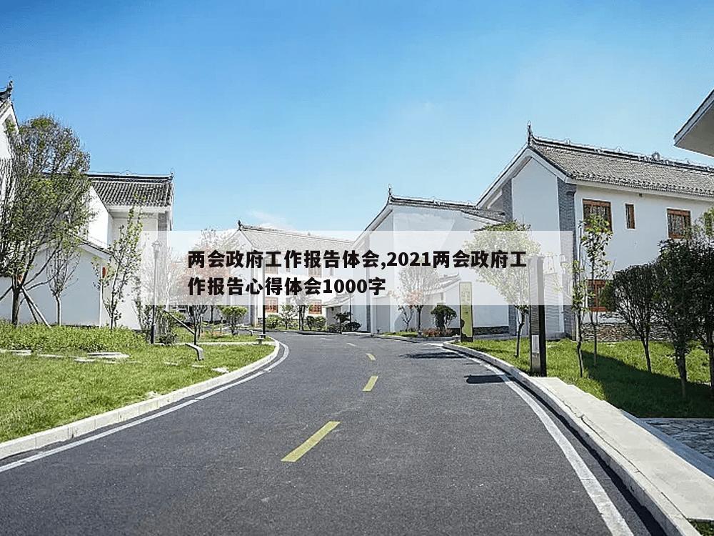 两会政府工作报告体会,2021两会政府工作报告心得体会1000字