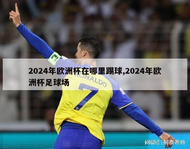 2024年欧洲杯在哪里踢球,2024年欧洲杯足球场