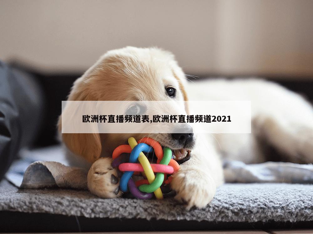 欧洲杯直播频道表,欧洲杯直播频道2021