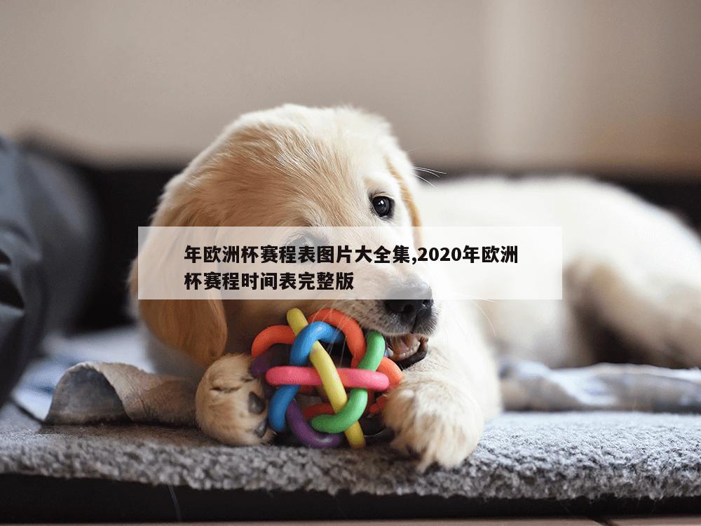 年欧洲杯赛程表图片大全集,2020年欧洲杯赛程时间表完整版