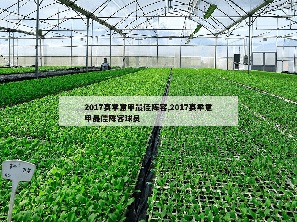 2017赛季意甲最佳阵容,2017赛季意甲最佳阵容球员